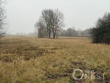 działka na sprzedaż 1519m2 działka Turowice