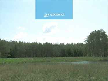 Działka siedliskowa na sprzedaż Studzienice, Prądzonka 34 000m2 Foto 5