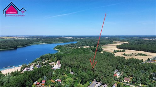 Działki leśne nad Jeziorem Budzisławskim - cisza i natura. działka Tręby Stare