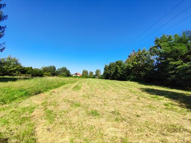 działka na sprzedaż 4479m2 działka Chełm Śląski, Chełm Śląski, Stacyjna