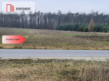 Działka 10200 m² pod zabudowę, las, jeziora, cisza działka Rogowo