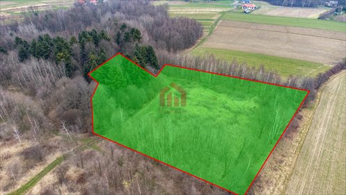 Działka 1,04 ha z lasem i strumieniem w Żyznowie działka Żyznów