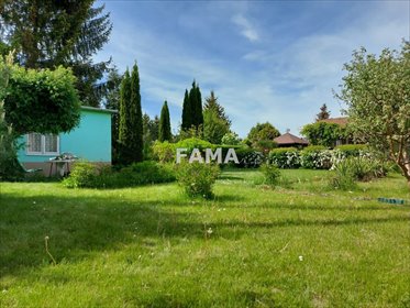 Działka rekreacyjna z domkiem, drzewami i owocami, ogrodzona działka Włocławek, Rybnica, Graniczna
