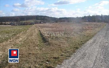 Działka 1000 m² pod zabudowę w Wielkiej Lipie - polecam! działka Wielka Lipa, Wielka Lipa, Wielka lipa