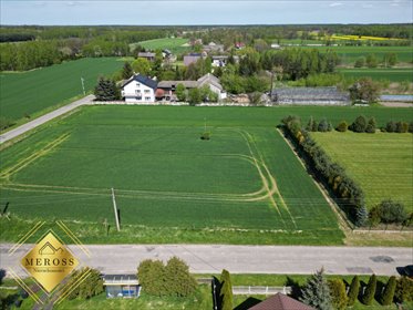 Działka budowlana na sprzedaż Grabówka 1 313m2 Foto 3