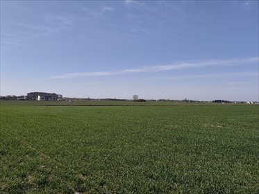 Działka rolna 11,6 ha z mediami i lasem - polecam! działka Jerzykowo