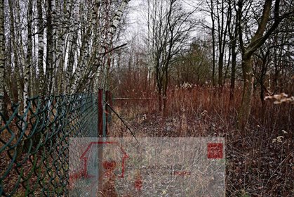 działka na sprzedaż 6533m2 działka Kazimierz Dolny