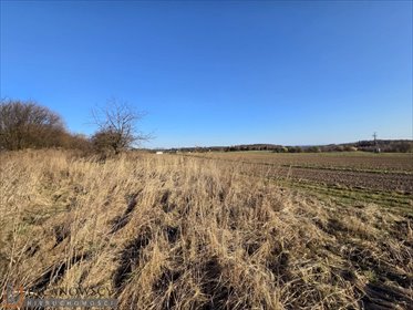 działka na sprzedaż 10100m2 działka Rzeplin