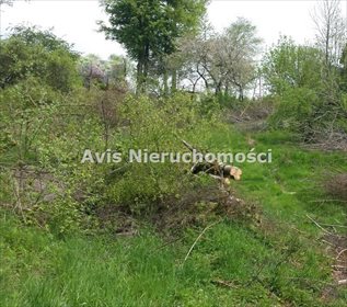 działka na sprzedaż 4569m2 działka Jedlina Zdrój