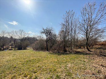 działka na sprzedaż 2928m2 działka Branice