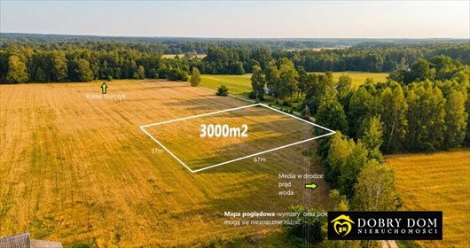 działka na sprzedaż 3000m2 działka Pokaniewo-Kolonia