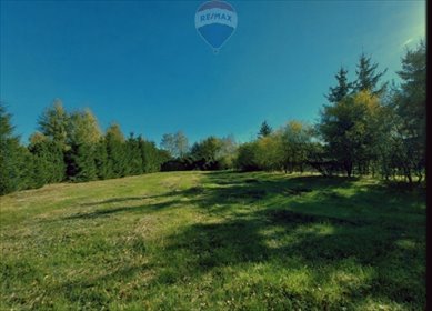 działka na sprzedaż 11204m2 działka Wólka Kościeniewicka