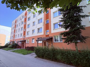 Wyrzuć młotek i zapomnij o ekipach! mieszkanie Łódź, Stanisława Czernika