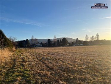 działka na sprzedaż 11000m2 działka Ustroń