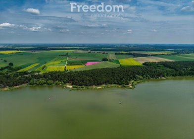 działka na sprzedaż 10449m2 działka Grzybowo