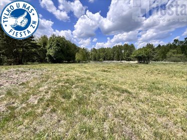 działka na sprzedaż 4800m2 działka Maluszyn
