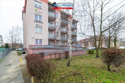 lokal użytkowy na wynajem 32m2 lokal użytkowy Piła, Zamość