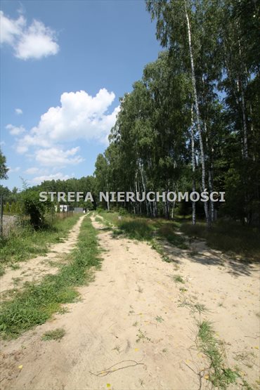 Działka leśna na sprzedaż Liciążna 2 128m2 Foto 2