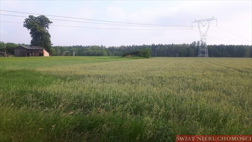 Działka budowlana na sprzedaż Bartków 2 700m2 Foto 1