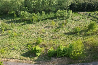 Polecam działkę 1250 m² w Starej Kopernii z dostępem do drogi asfaltowej działka Stara Kopernia