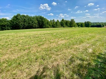 Działka inna na sprzedaż Łódź, Bałuty, Nowe Moskule, Strykowska 3 004m2 Foto 1