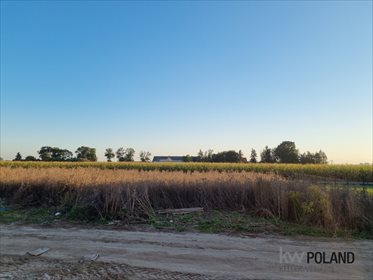 Działka budowlana na sprzedaż Wróblewo 750m2 Foto 3