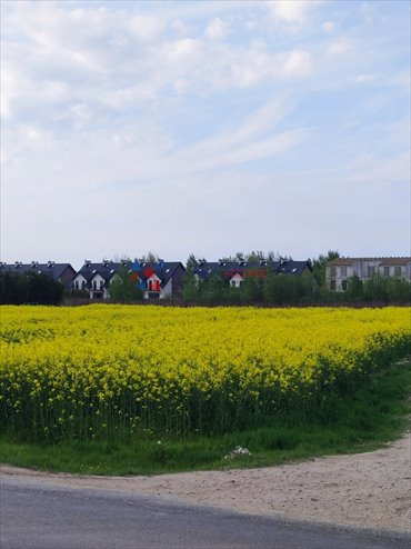 działka na sprzedaż 1000m2 działka Nowa Wola