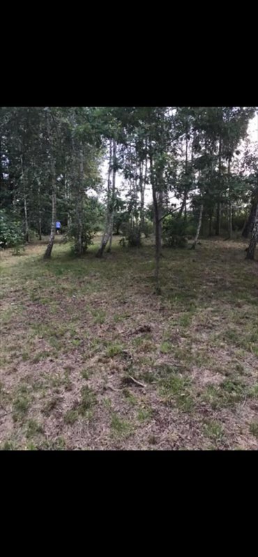 Działka inwestycyjna 5383 m² z budynkiem, blisko A2 działka Mińsk Mazowiecki
