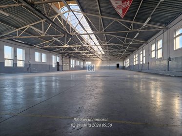 lokal użytkowy na wynajem 1080m2 lokal użytkowy Pyskowice