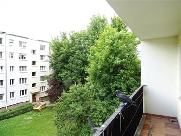 mieszkanie na sprzedaż 47m2 mieszkanie Poznań, Nowe Miasto, Rataje, Osiedle Armii Krajowej