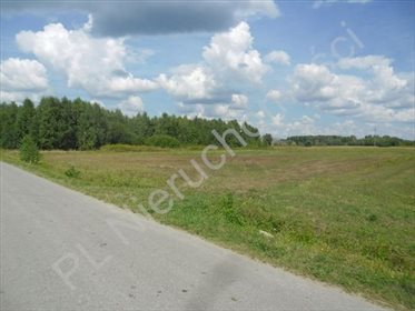 działka na sprzedaż 10300m2 działka Lasomin