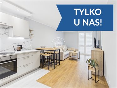 mieszkanie na wynajem 48m2 mieszkanie Toruń, Mokre