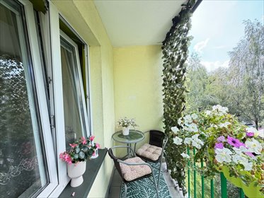 Przestronne 65,5 m² mieszkanie z dużą loggią (Tarnów) mieszkanie Tarnów, Osiedle Zielone