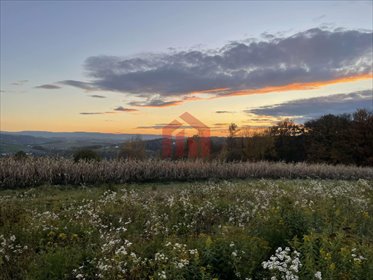 działka na sprzedaż 1000m2 działka Wielopole Skrzyńskie