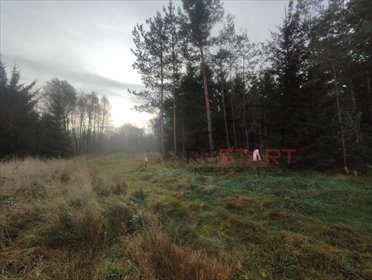 Działka budowlana 3 010 m² z warunkami zabudowy działka Budy Zosine