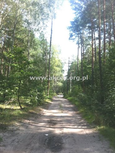 działka na sprzedaż 2200m2 działka Sękocin Stary, Sękocin-Las