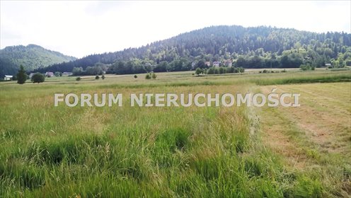 działka na sprzedaż 1600m2 działka Słotwina