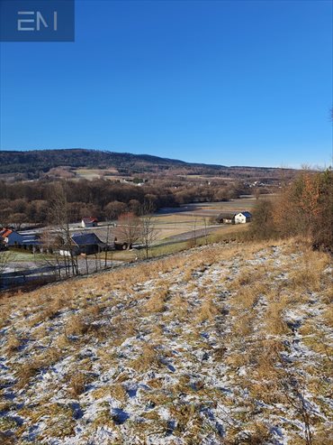 Działka budowlana na sprzedaż Żyznów 9 600m2 Foto 4