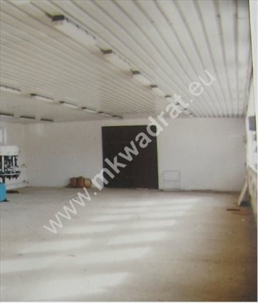 Magazyn na sprzedaż Rozalin 650m2 Foto 3