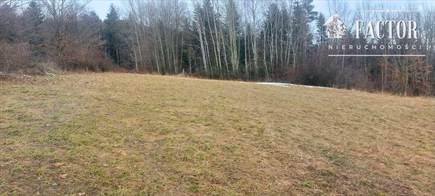 działka na sprzedaż 4100m2 działka Siary