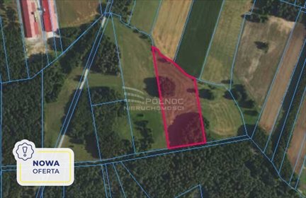 działka na sprzedaż 17000m2 działka Rynki