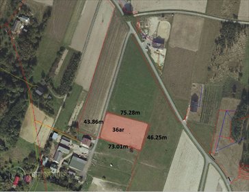 działka na sprzedaż 3600m2 działka Chmielnik