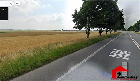 Działka inwestycyjna 4,4 ha przy DK 94 z warunkami prądu działka Izbicko