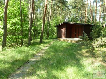 Dom na sprzedaż Bechcice-Kolonia 20m2 Foto 2