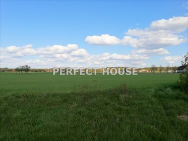 Dom na sprzedaż Drawsko 268m2 Foto 2