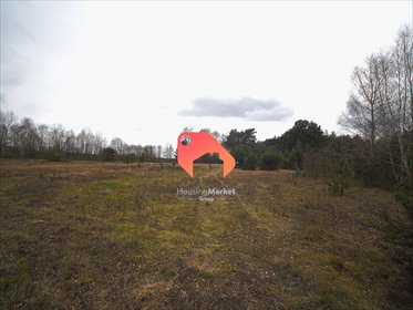 działka na sprzedaż 3200m2 działka Małków