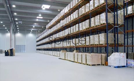 Magazyn na wynajem Zabrze 23 250m2 Foto 5