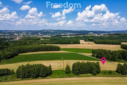 działka na sprzedaż 4600m2 działka Wysoka Strzyżowska