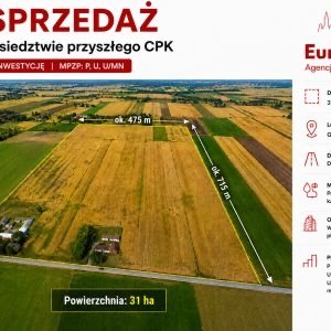 Działka inwestycyjna 31 ha przy CPK - atrakcyjna lokalizacja działka Baranów