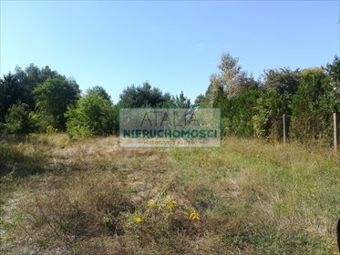 Działka 3586 m² z mediami, blisko WKD - zapraszam działka Milanówek